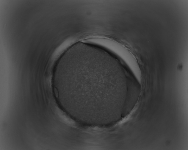 X0000091500197200708302005