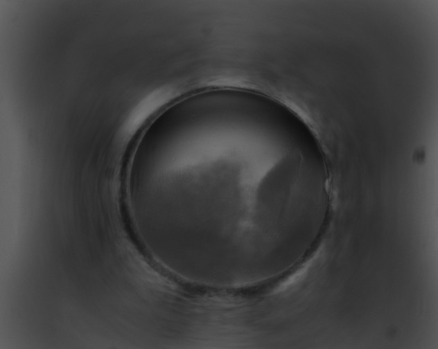 X0000091500199200708302005