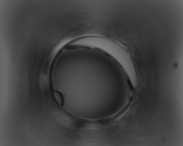 X0000091500200200708302005