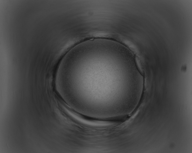 X0000091500201200708302005