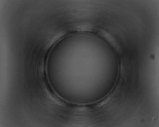 X0000091500202200708302005