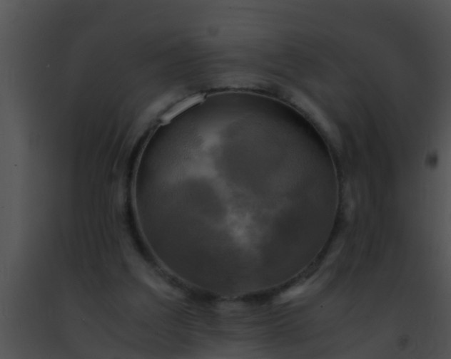 X0000091500203200708302005