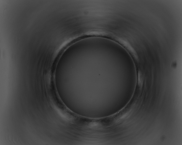 X0000091500204200708302005