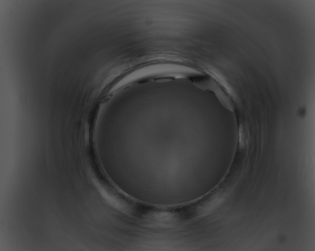 X0000091500205200708302005