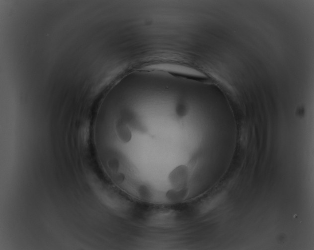 X0000091500206200708302005