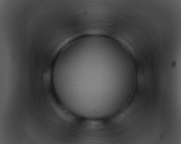 X0000091500208200708302005