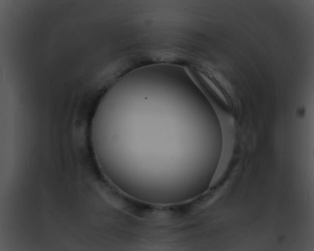 X0000091500209200708302005