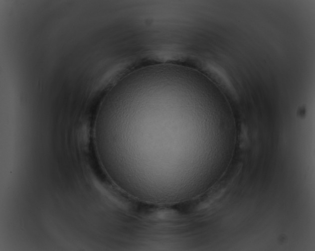 X0000091500210200708302005