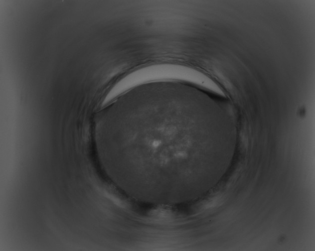 X0000091500211200708302005