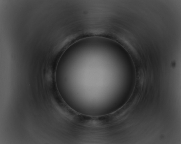 X0000091500212200708302005