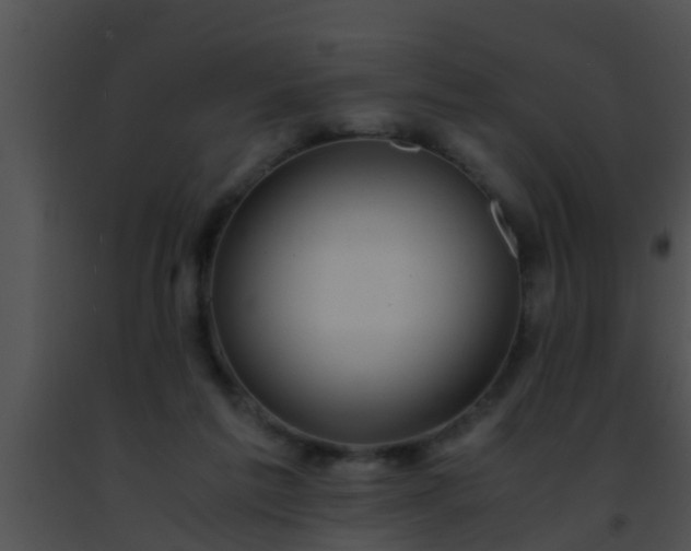 X0000091500213200708302005