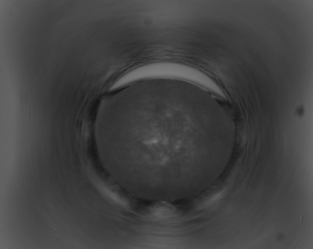 X0000091500215200708302005