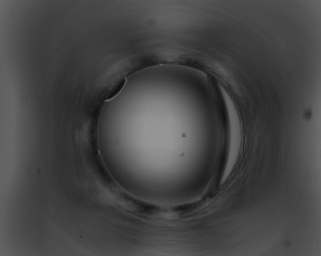 X0000091500217200708302004