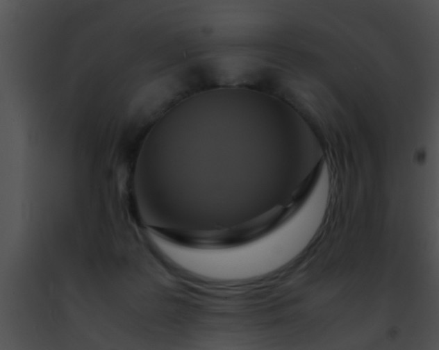 X0000091500219200708302004