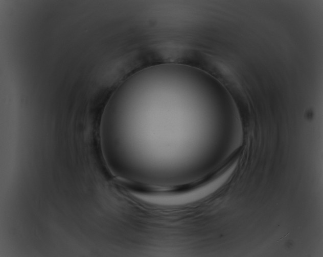 X0000091500221200708302004