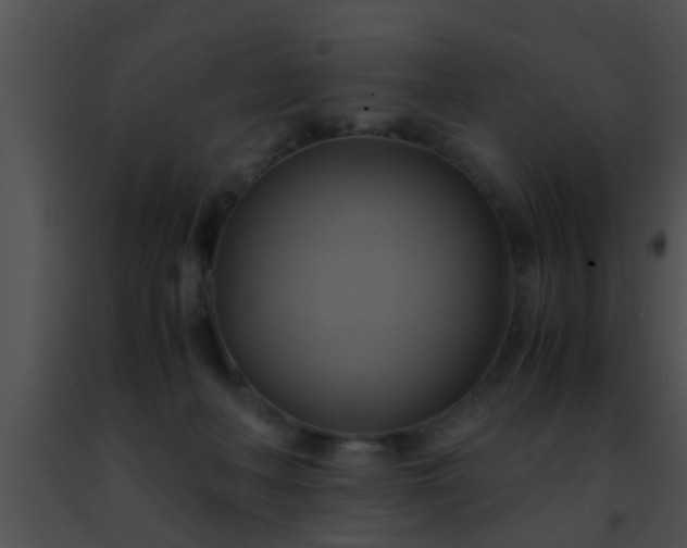 X0000091500222200708302004