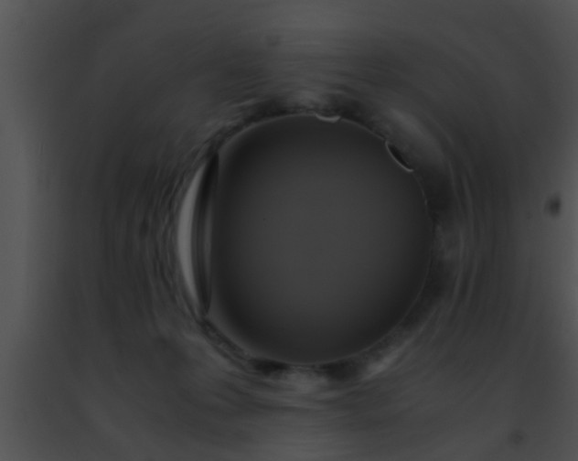 X0000091500223200708302004