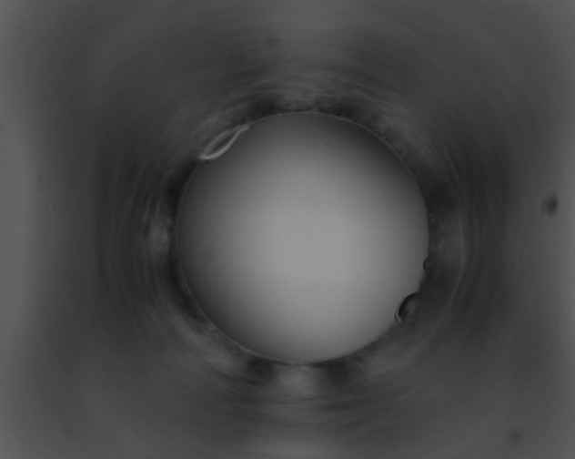 X0000091500226200708302004