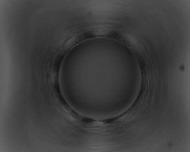 X0000091500227200708302004