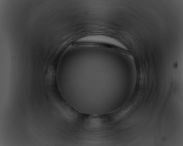 X0000091500228200708302004