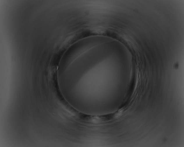 X0000091500229200708302004