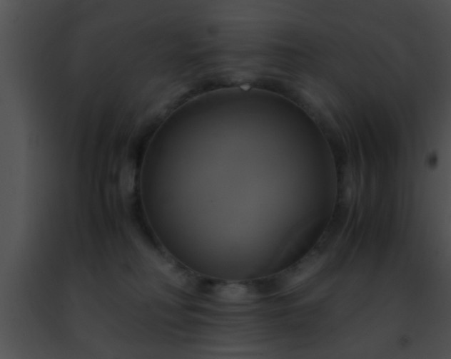 X0000091500230200708302004