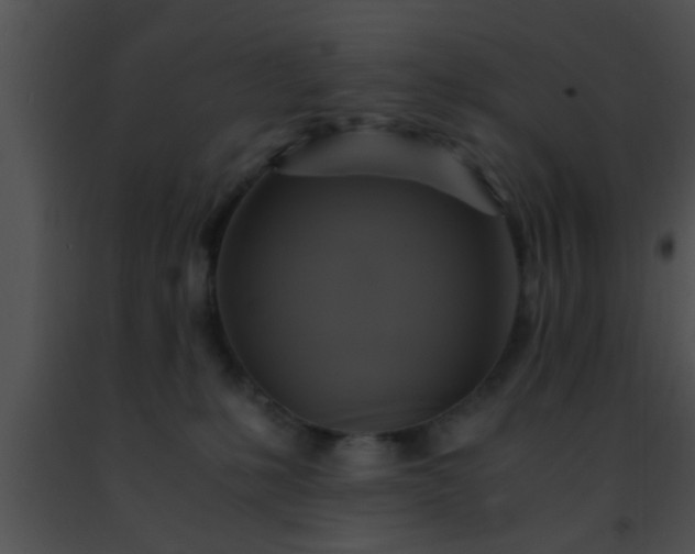 X0000091500231200708302004