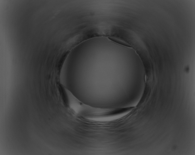 X0000091500233200708302004