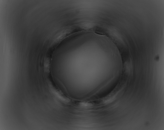 X0000091500234200708302004