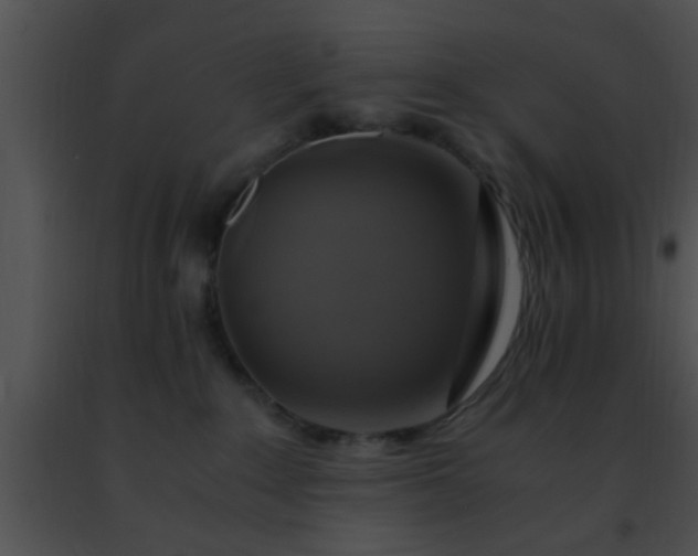 X0000091500235200708302004