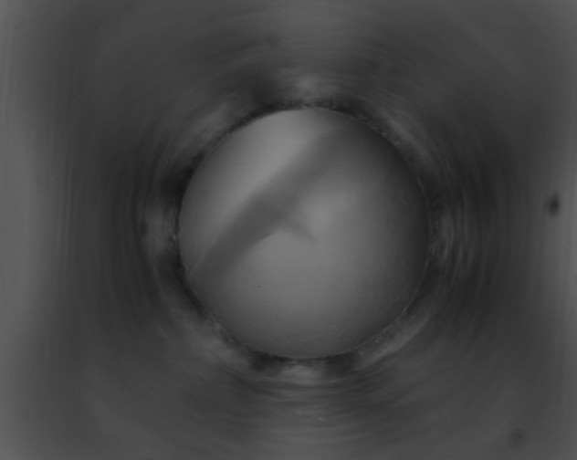 X0000091500236200708302004