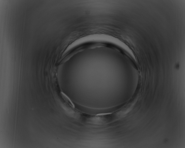 X0000091500237200708302004