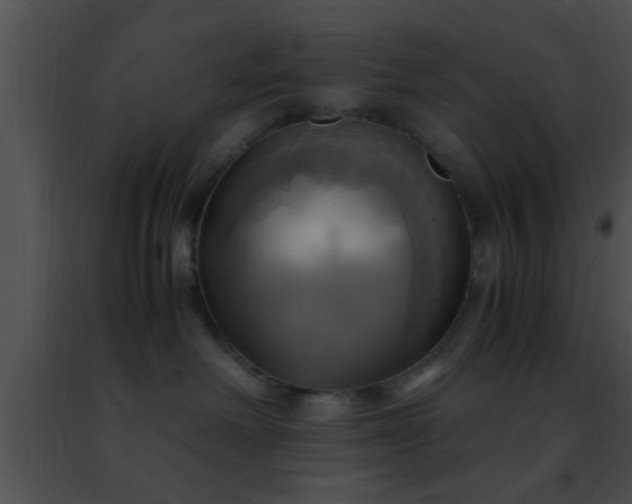 X0000091500238200708302004