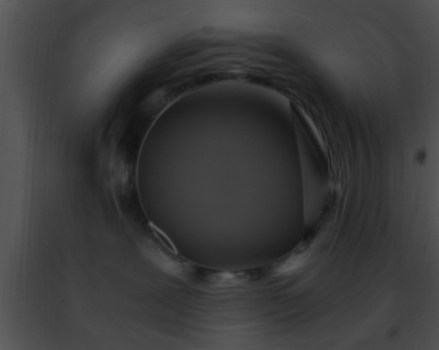 X0000091500239200708302004