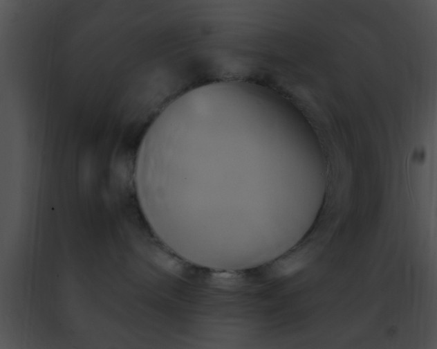 X0000091500240200708302004