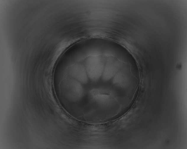 X0000091500241200708302004