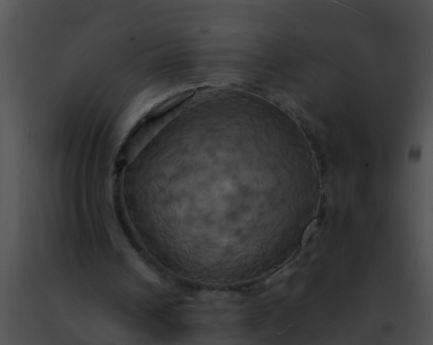 X0000091500242200708302004