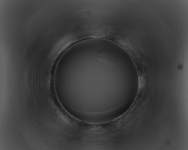 X0000091500243200708302004