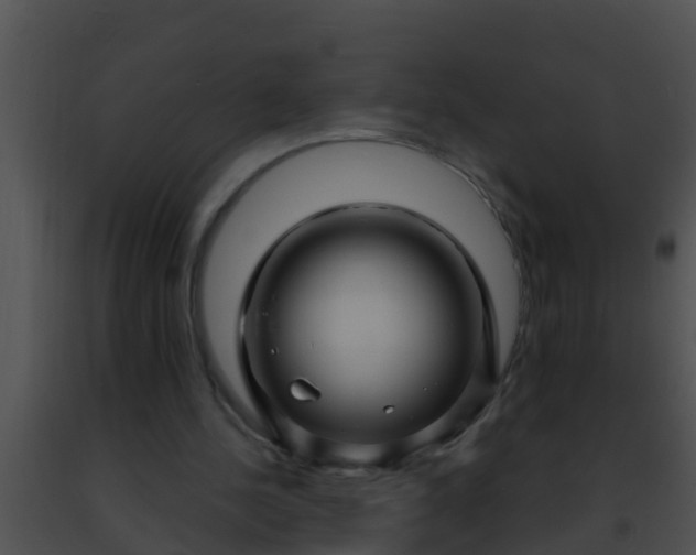 X0000091500244200708302004