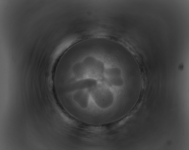 X0000091500245200708302004