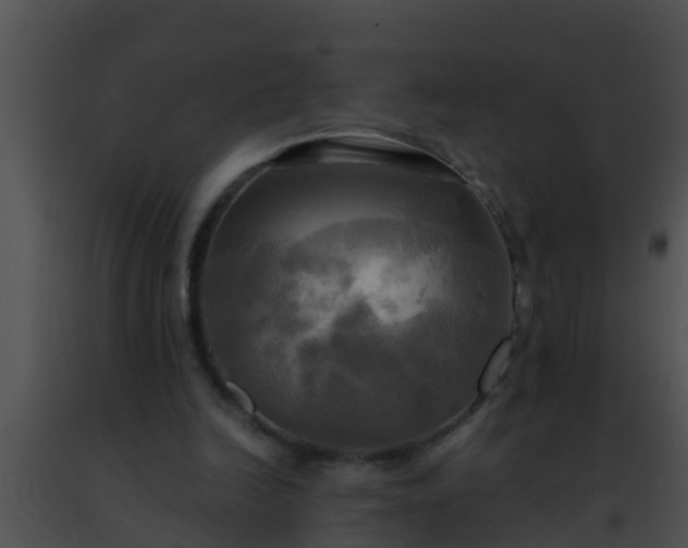 X0000091500246200708302004