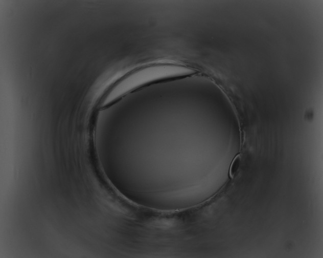 X0000091500247200708302004