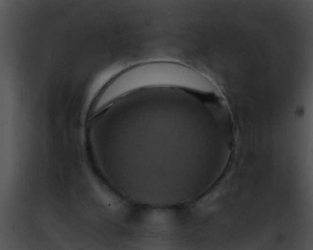 X0000091500248200708302004