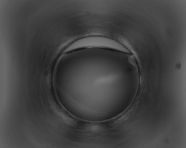 X0000091500249200708302004