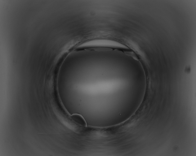 X0000091500250200708302004