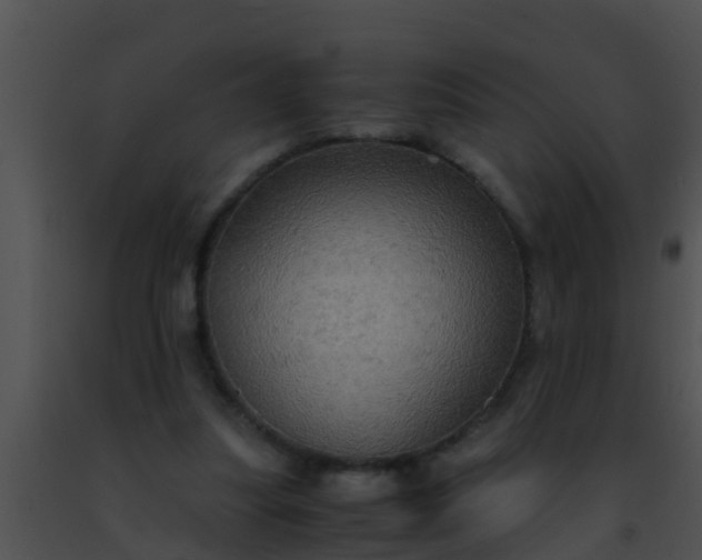 X0000091500251200708302004