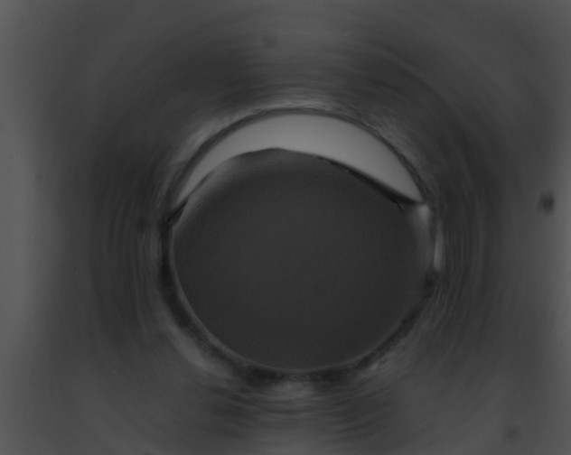 X0000091500252200708302004