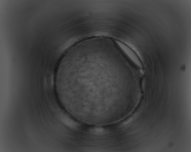 X0000091500253200708302004