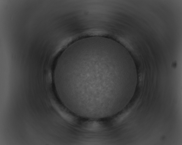 X0000091500254200708302004