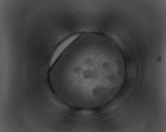 X0000091500255200708302004